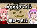 【琴葉姉妹の磯遊び】みるみるタマミル描いてミル【涙歌ひな誕生祭】