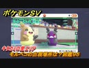 ポケモンＳＶ　モルペコの出現場所は？図鑑９５　キタカミの里エリア　＃４５５　【DLCゼロの秘宝　碧の仮面・藍の円盤】