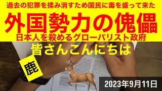 【拙アレンジ】鹿先生、過去の犯罪を揉み消すため国民に毒を盛って来た外国勢力の傀儡　日本人を殺めるグローバリスト政府（2023年9月11日）@kinoshitayakuhi