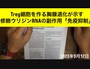 【拙アレンジ】鹿先生、Treg細胞を作る胸腺退化が示す修飾ウリジンRNAの副作用「免疫抑制」（2023年9月12日）@kinoshitayakuhi