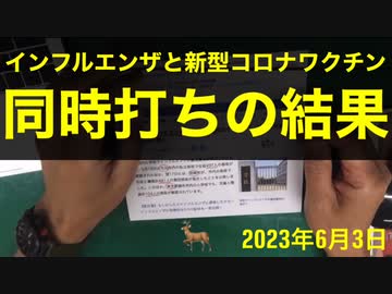 【拙アレンジ】鹿先生、インフルエンザワクチンと新型コロナワクチン同時打ちの結果（2023年6月3日）@kinoshitayakuhi