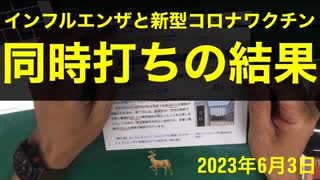 【拙アレンジ】鹿先生、インフルエンザワクチンと新型コロナワクチン同時打ちの結果（2023年6月3日）@kinoshitayakuhi