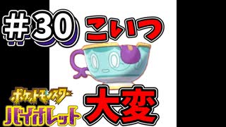 【ポケットモンスター バイオレット】#30　とある進化アイテムのためにヤバチャを探して3千里！！出現率低すぎてやばちゃ(´;ω;｀)