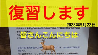 【拙アレンジ】鹿先生、復習します（2023年9月22日）@kinoshitayakuhi