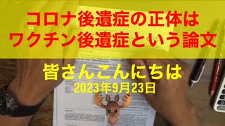 【拙アレンジ】鹿先生、コロナ後遺症の正体はワクチン後遺症という論文（2023年9月23日）@kinoshitayakuhi