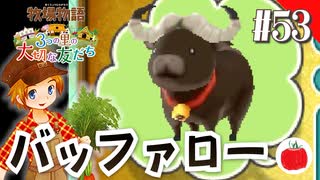 【実況】牧場物語３つの里の大切な友達を初見で遊ぶいも【#53】