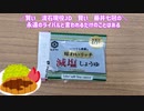 現役JDが”Wロースカツ定食”の最高に旨い食べ方を語る