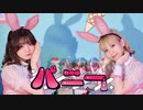【バニーガールが】バニー / すりぃ 歌って踊ってみた【えてろ×こぞう】