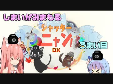 【シャッターニャン！DX】姉妹がみまもるシャッターニャン！３枚目