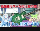 【ギターレビュー】低価格ギターなのに奥が深い Aria pro II PE-480