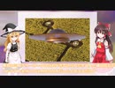 【怪異雑談】陰謀論を作って遊ぼう「織田家宇宙人仮説」