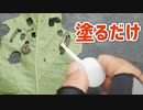 手で野菜の虫を捕殺できない人の為に『ハケデヤール』