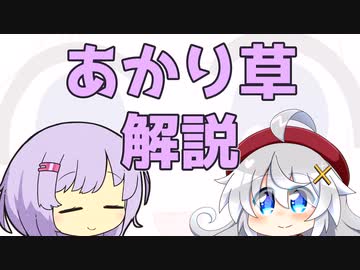 【第四回原石祭】おしえてゆかりさん『あかり草』―植生から逸話まで―【VOICEROID解説】