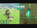 ただ友達に会いたいだけなのに　「ゼルダの伝説～ティアーズ・オブ・ザ・キングダム」　＃53