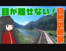 【福井旅】絶景が拝める背面展望！九頭竜線ことJR越美北線を乗り通す