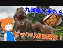 【駅散策 in九頭竜湖】ローカル線の終点、九頭竜には…何かあるの？