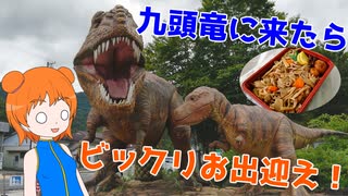 【駅散策 in九頭竜湖】ローカル線の終点、九頭竜には…何かあるの？