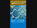 ウイルスワクチンにおける酸化グラフェンとは？
