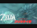【ゼルダの伝説 ティアーズオブザキングダム】＃１１　VS寒さ