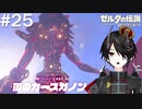 サクサク行きましょう[ゼルダの伝説 ブレスオブザワイルド]＃２５
