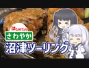 【第四回原石祭】アリミリのカブトラベル　はじめてのさわやか と 沼津観光
