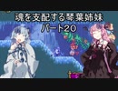 【キャッスルヴァニア暁月の円舞曲】魂を支配する琴葉姉妹パート20【VOICEROID実況】