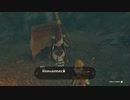 【Switch】リンクがゾナウとゼルダ探し旅【プレイ動画】part60