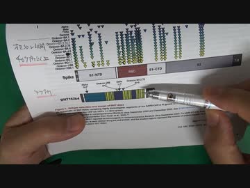 ビオンテック社の最新型コロナワクチン論文