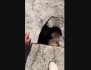 ホモと見る亀裂