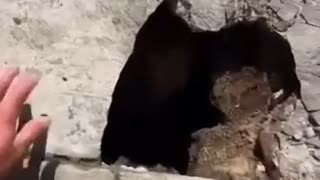 ホモと見る亀裂