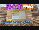 ただ謎のクール便の箱を開封したかっただけの人