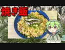 【VOICEVOX ずんだもん】  カレー用豚肉とタマネギを多めに使った「焼き飯」を作るのだ!!