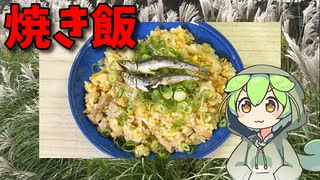 【VOICEVOX ずんだもん】  カレー用豚肉とタマネギを多めに使った「焼き飯」を作るのだ!!