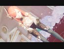 すでに興奮度ＭＡＸですぐにイキそうになった♡申鶴