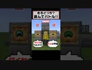 【マイクラ】右左どっち？装備を選んで対決！