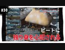 【実況】アストロノーカ：宇宙で農業はじめました　part30