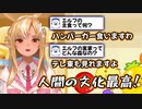 すっかり人間の文化に染まった昨今のハーフエルフ事情について語る不知火フレア【ホロライブ/切り抜き】