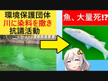 環境保護団体「有毒廃棄物を捨てるな！抗議活動として水路を染料で染めてやる！」→市長「魚が大量死してるんだが？」
