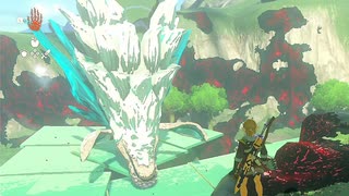 【ティアキン】依頼を受けて、ドラゴンが深穴に入るのを阻止しようとしてみた【ドリカラ】【ボイスピ実況,ゼルダの伝説ティアーズオブザキングダム,TotK,ゼル伝】