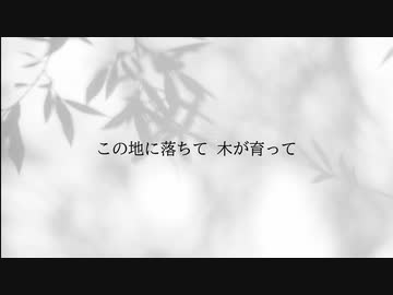空白の日 / GILLTHIM