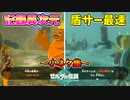 祠の謎トラップ･黒龍VSファンガノ！？など小ネタ集(ver1.1.0)【ティアキン TotK】裏技 バグ 検証 ゆっくり実況 glitch