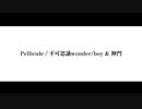 【歌ってみた】Pellicule / 不可思議wonder/boy & 神門【イヤホン推奨】