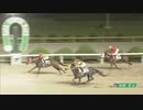 2023年10月7日佐賀競馬6R 的場文男チャレンジカップ(C2-22組) ヤマビジン