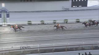 2023年10月7日高知競馬4R 株式会社グランディール協賛 グランディールレディスシリーズ ミラク特別(準重賞・3歳以上牝馬) ジョウショーリード