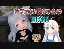 【SkyrimSE】ドヴァキン茜ちゃんの冒険記 #9【VOICEROID実況】