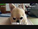 【ニンポー】人付き合いを上手くしたい。2023年9月26日