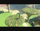 【ゼルダの伝説】マイペースに行くリンクと引きこもり#38前編【ブレスオブザワイルド】