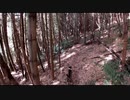 (とある事件発生中)変態忍者の、有害鳥獣駆除従事活動記・その２５５