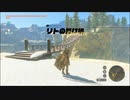 【ゼルダの伝説 ティアーズ オブ ザ キングダム】再びハイラルを救うまで【実況】 part124