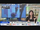 【大島璃音】ダンゴムシ動画が海外で日本語教材になっていることを知ったのんちゃん